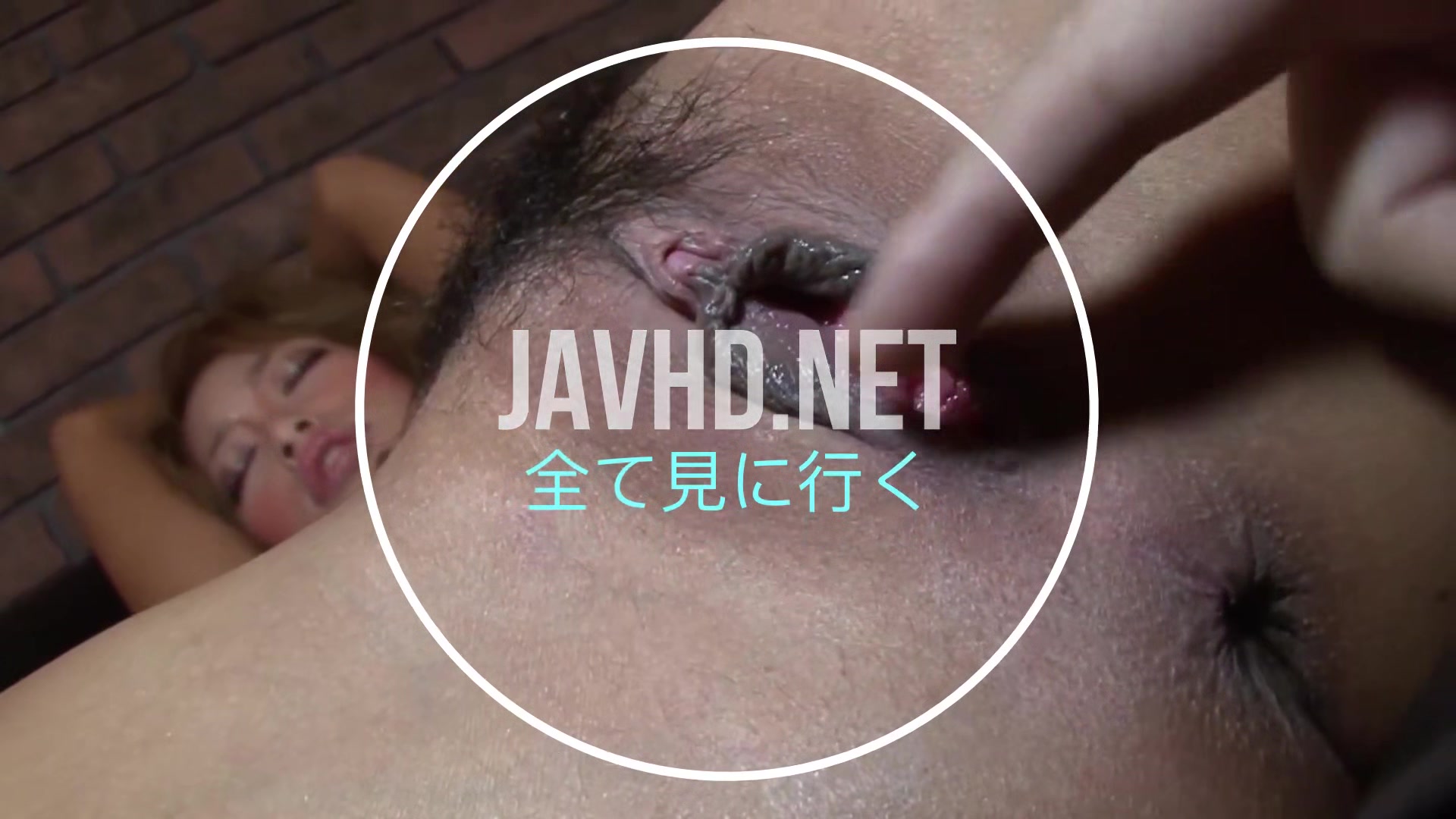 Japanese Hairy Pussy 6 on JavHD Net