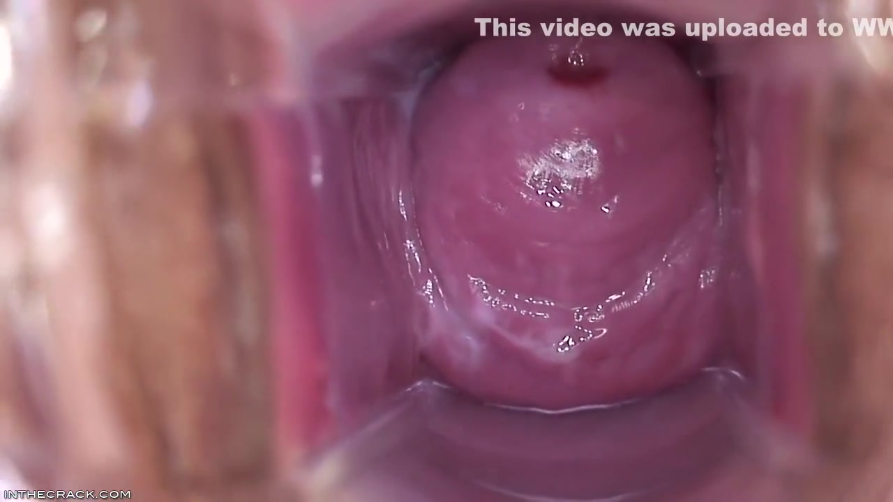 Inside Brandys Pussy