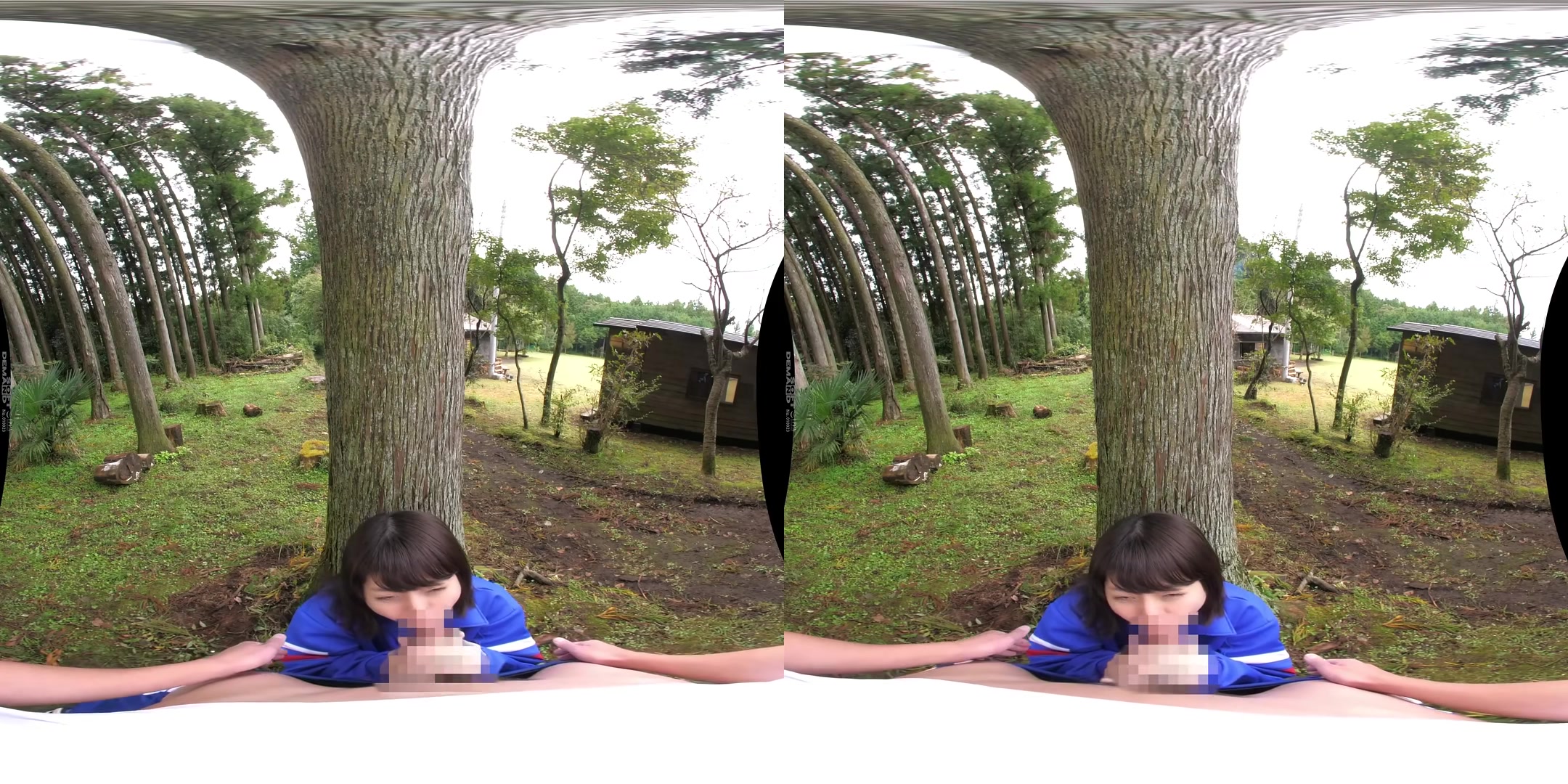 Rio Ishihara - Outdoor Fucking at a School in the Woods: Two Classmates Show Each Other their Private Parts - SodCreate