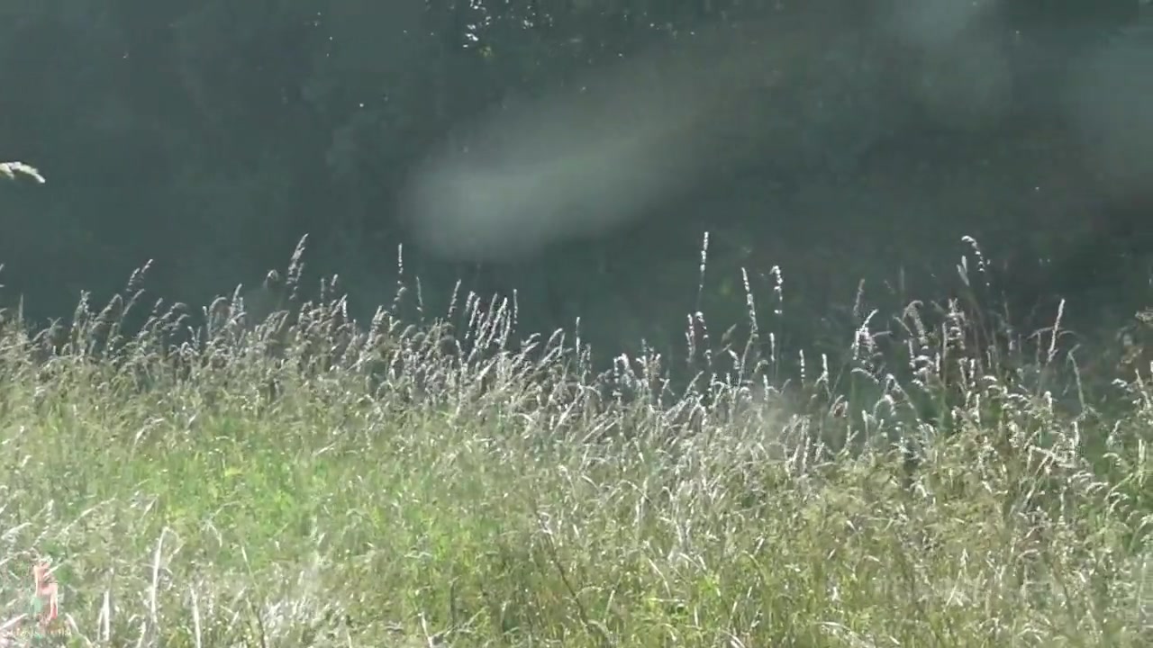 Three girls do strange things on the lake; fisting party - AnalVids
