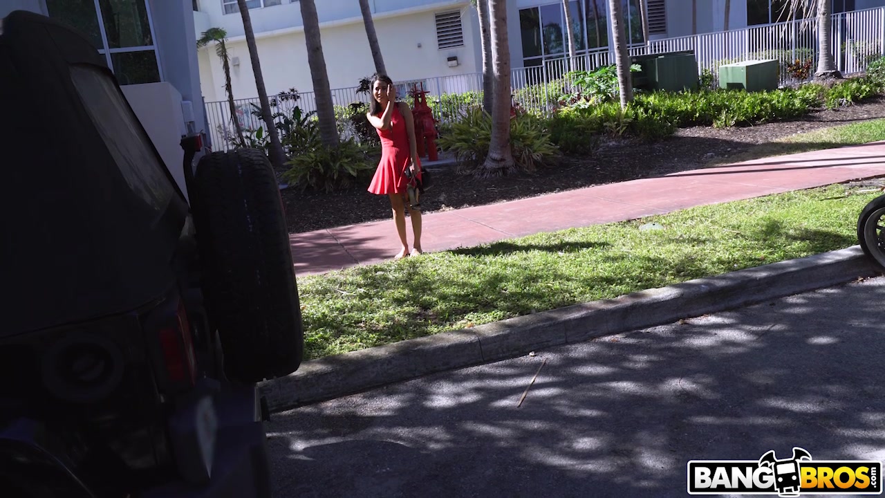 The Perfect Walk Of Shame - BangBus