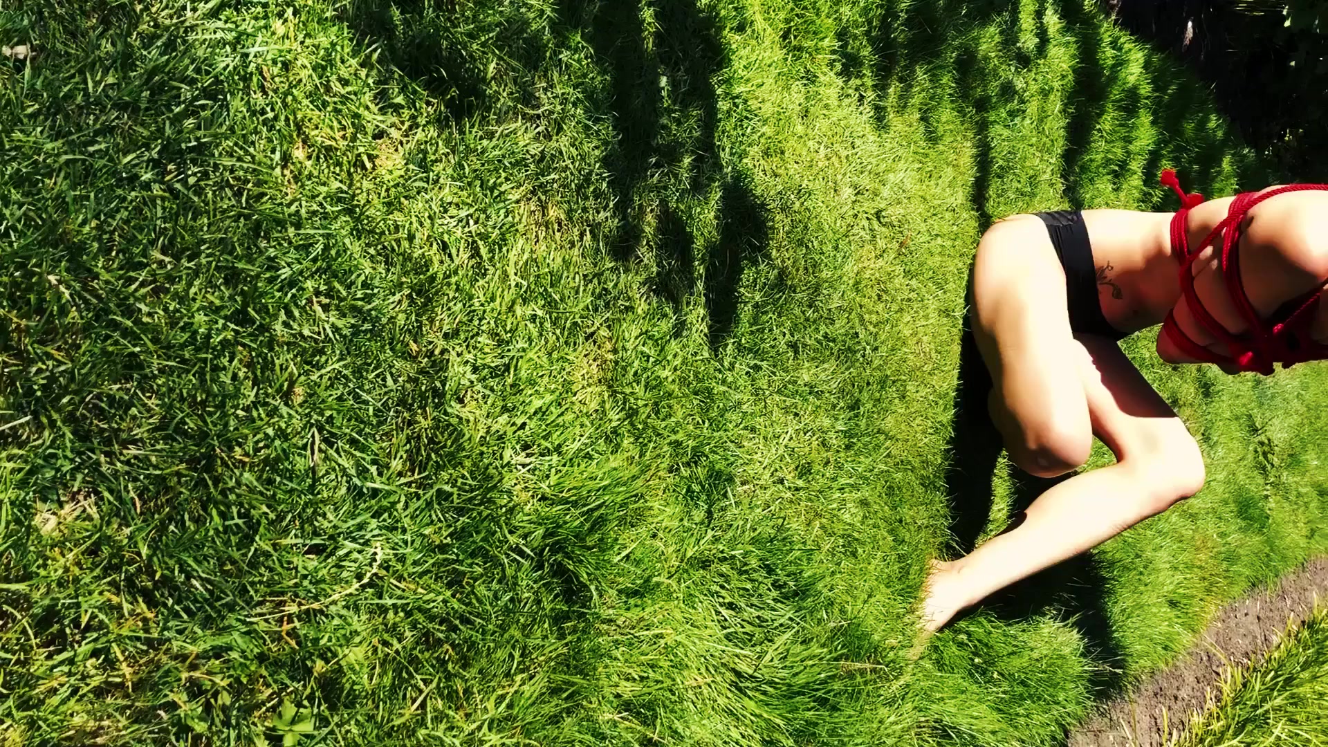 A Flawless Day In The Park - Video