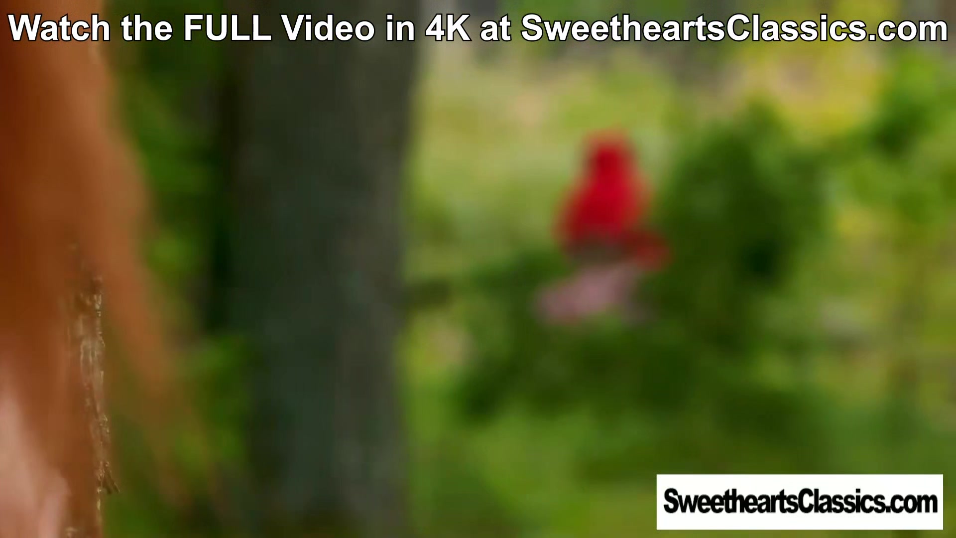 Masked wolf fucks Beata Undine in the woods at SweetheartsClassics