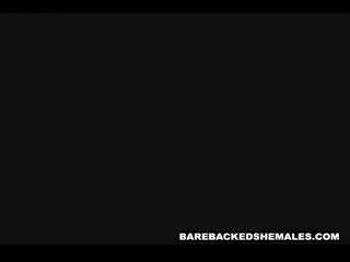 Hot Shemale Horny Anal Fucking