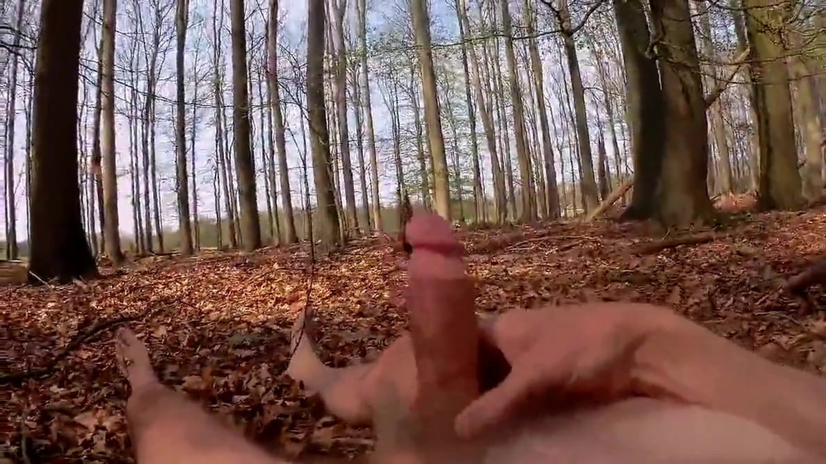 In The Wood