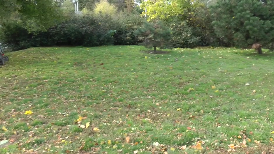 Blonde gets picked up on the street and has sex