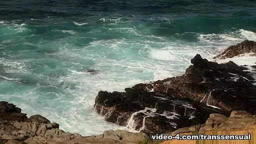 Buck Angel in Fair Exchange - TransSensual