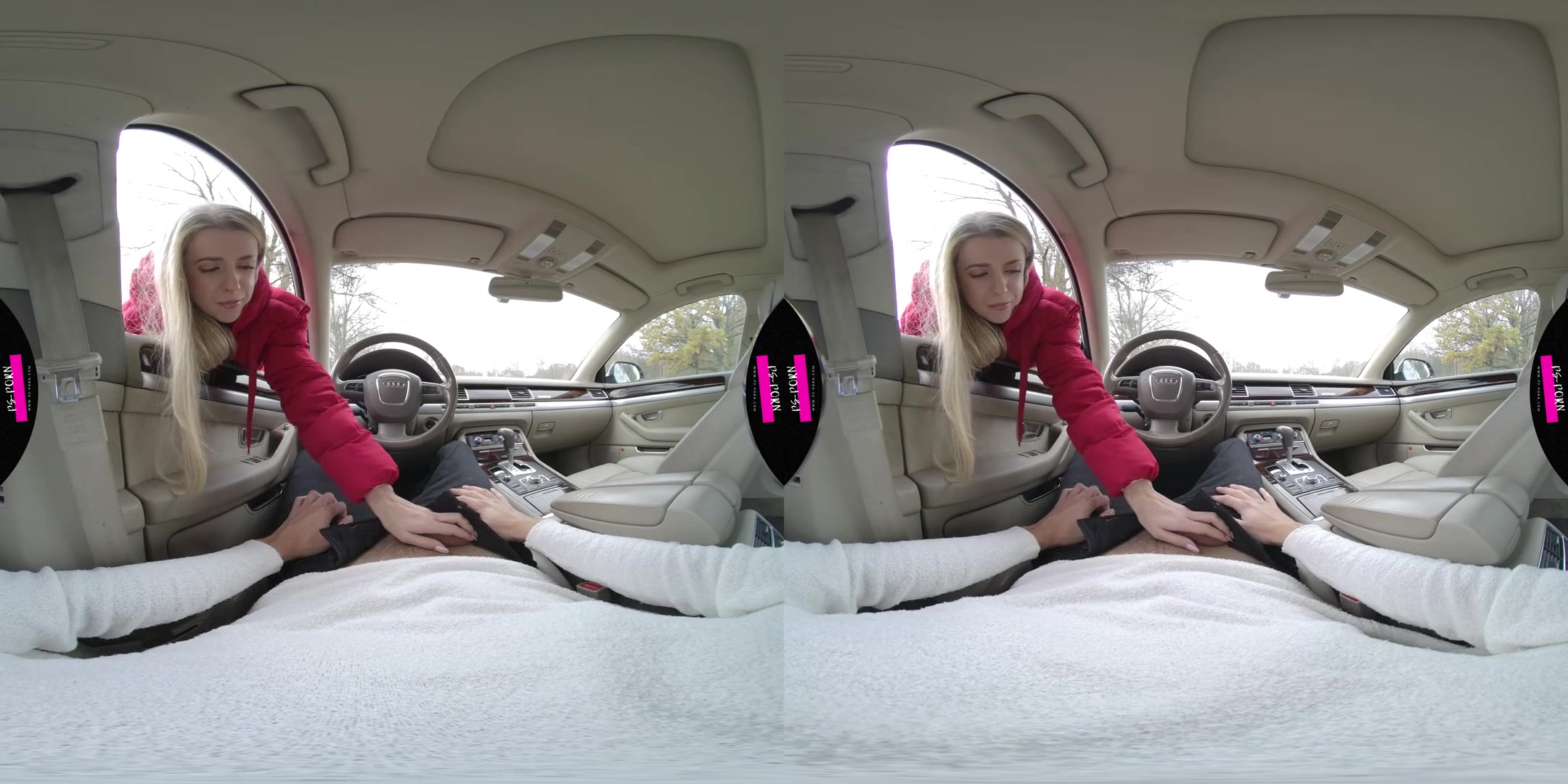 Sex In The Car With Adriana