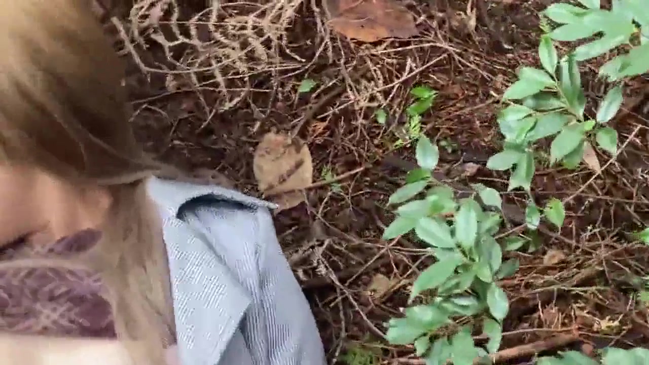 Asian Angel 17352