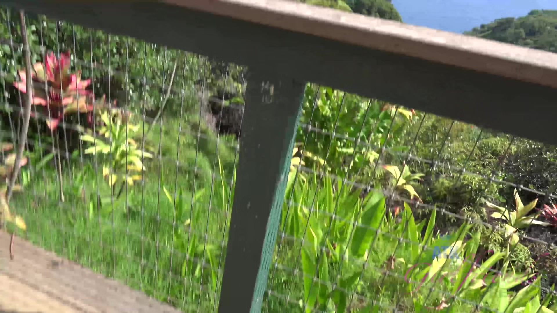 Virtual Vacation On Hawaii With Olivia Lua 3/9