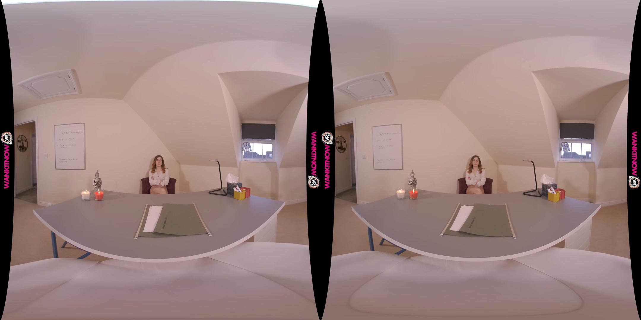 Wank Thief - WankitnowVR