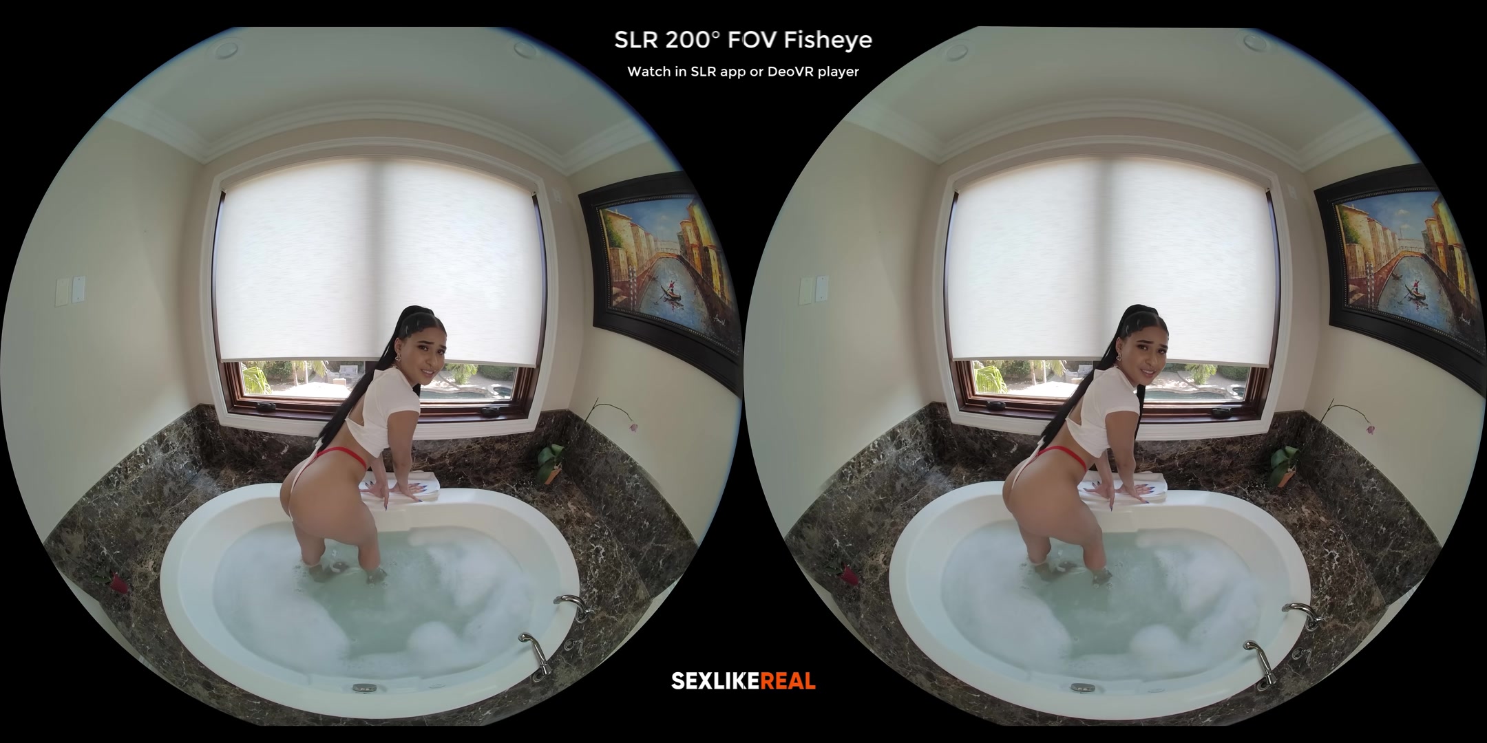 Raw Taboo, Wet Dreams - SLROriginals
