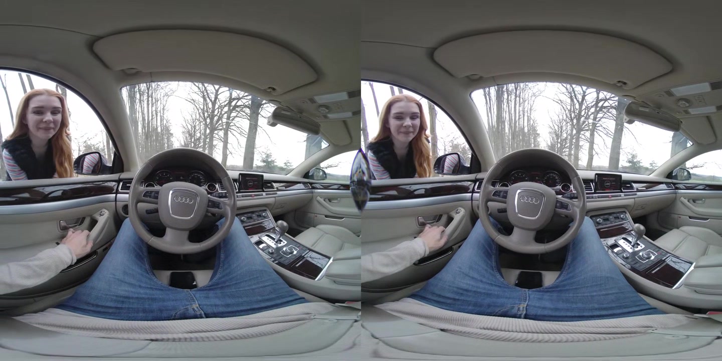 Beautiful and Horny Hitchhiker - PS-Porn