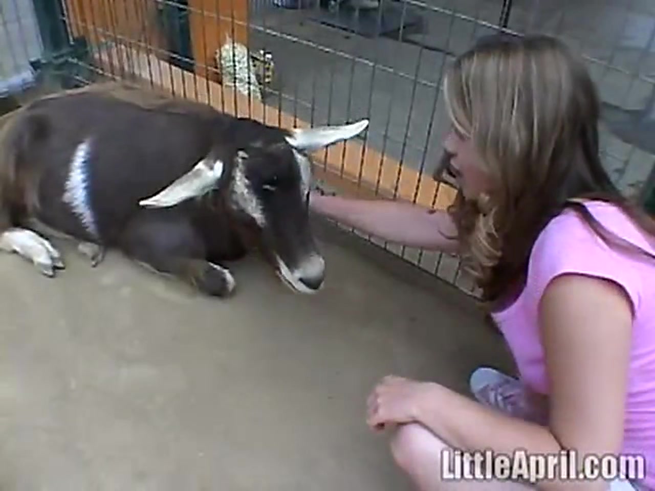 teen 18+ does some solo heavy petting