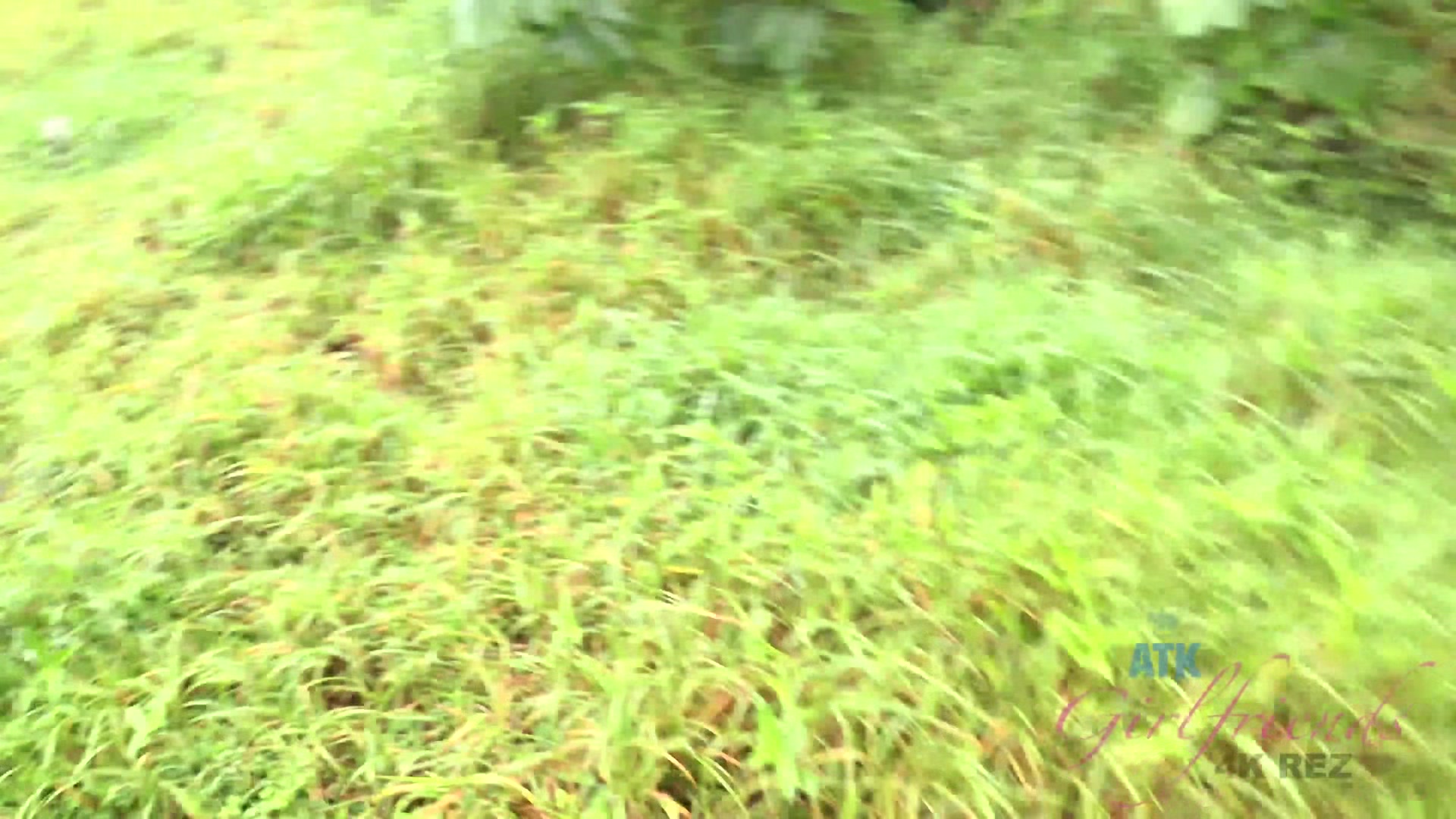 Virtual Vacation Hawaii With Elsa Jean 5/8
