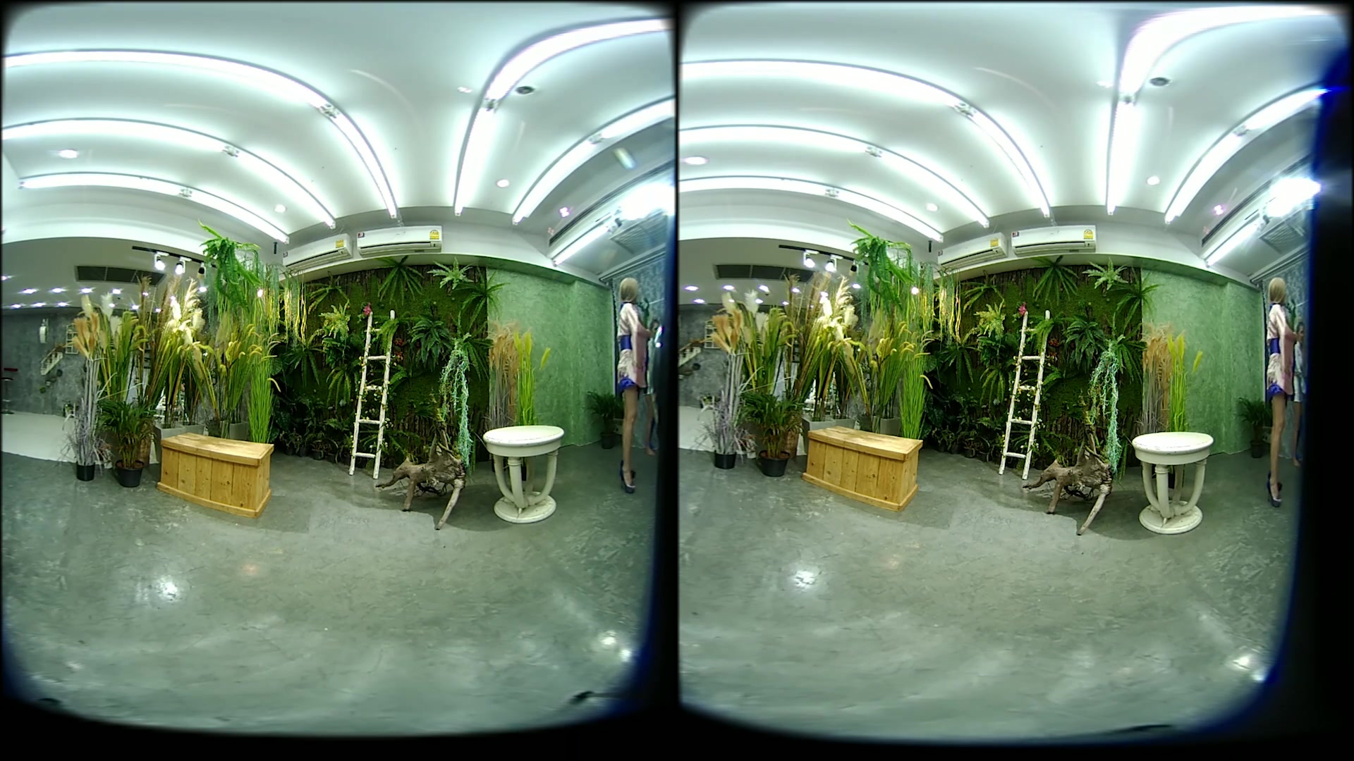 2 Girls With Long Cast Leg Visit A Flower Store 2 - VRPussyVision