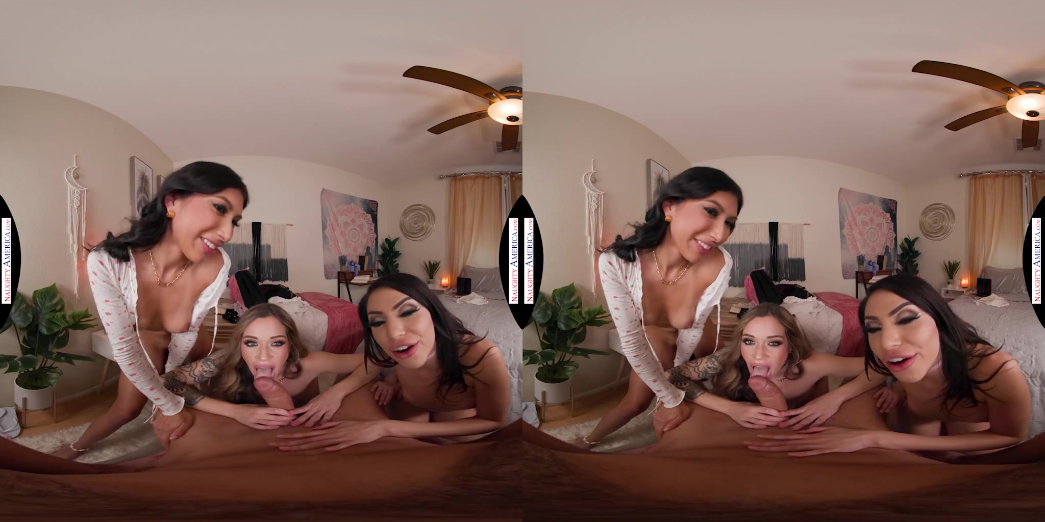 Looks like some naughty backdoor action is in store for college babes Penelope Woods, Hime Marie, and Rory Knox