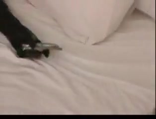 Slut in latex sucks gets fucked