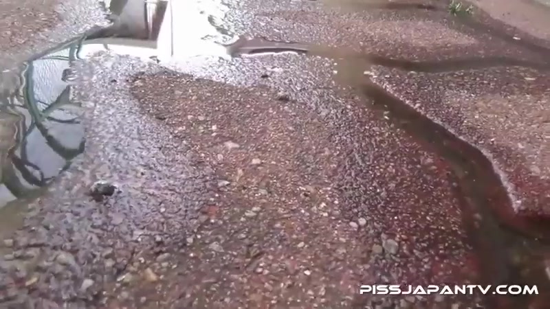 Piddle Here, Puddle There 2 - PissJapanTV