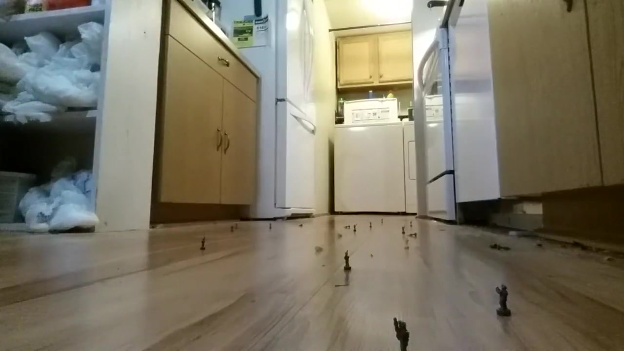 Unaware in the kitchen