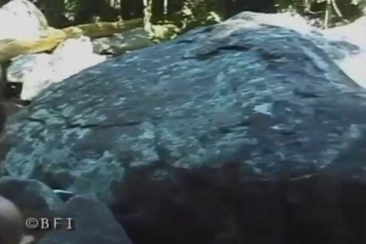 Falls N Balls 10