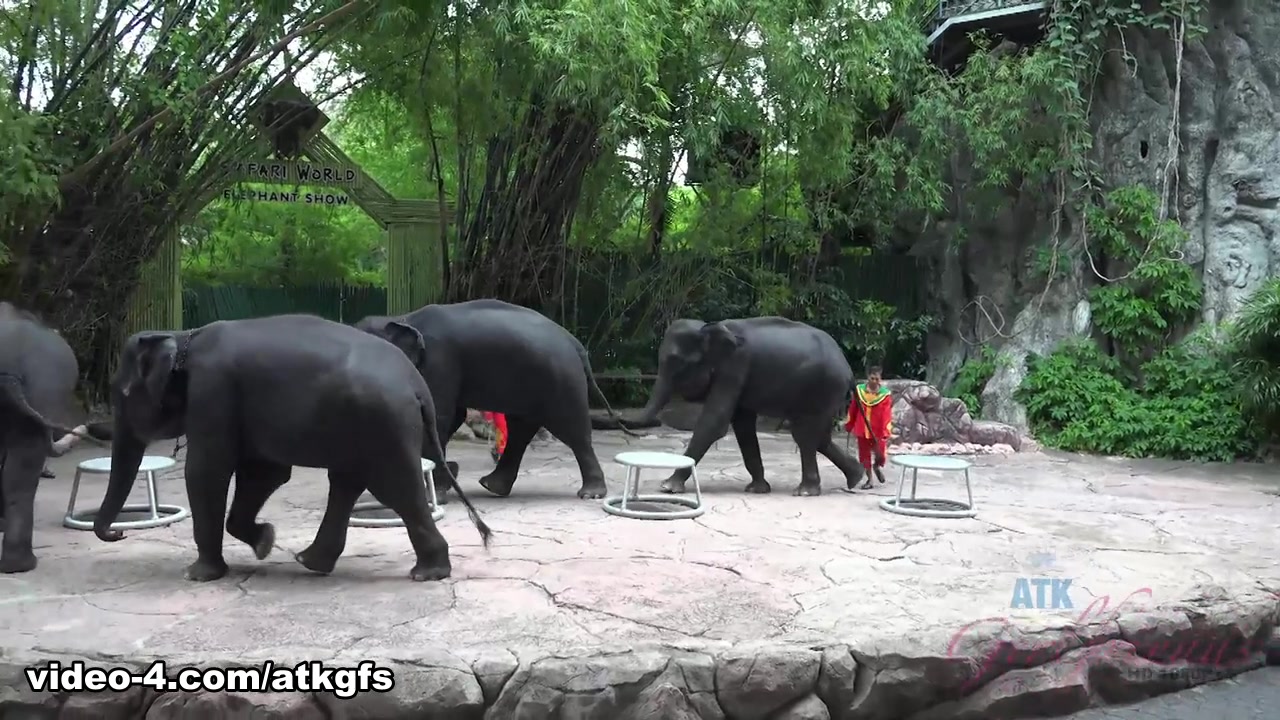 Moka Mora in Moka Is Having The Best Time Feeding Animals - ATKGirlfriends