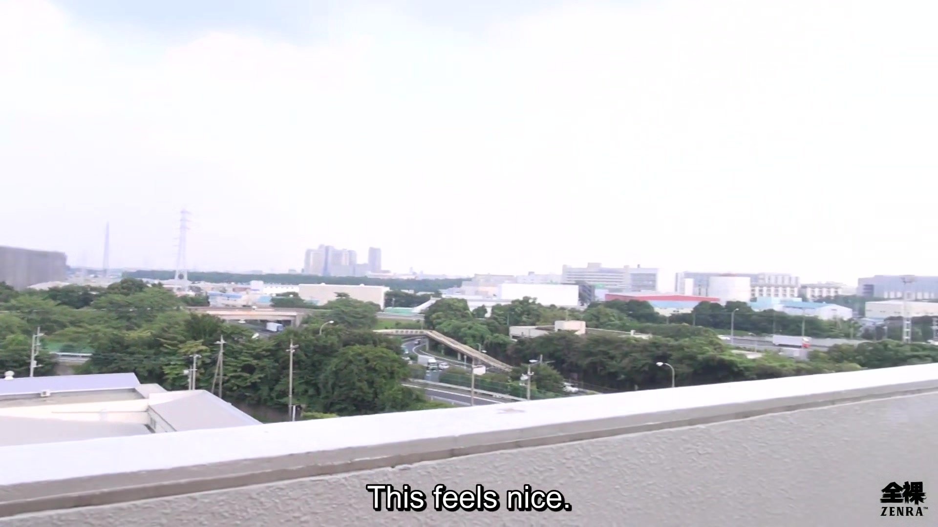 Pale and blushing Japanese wife arousal smorgasbord with paramour