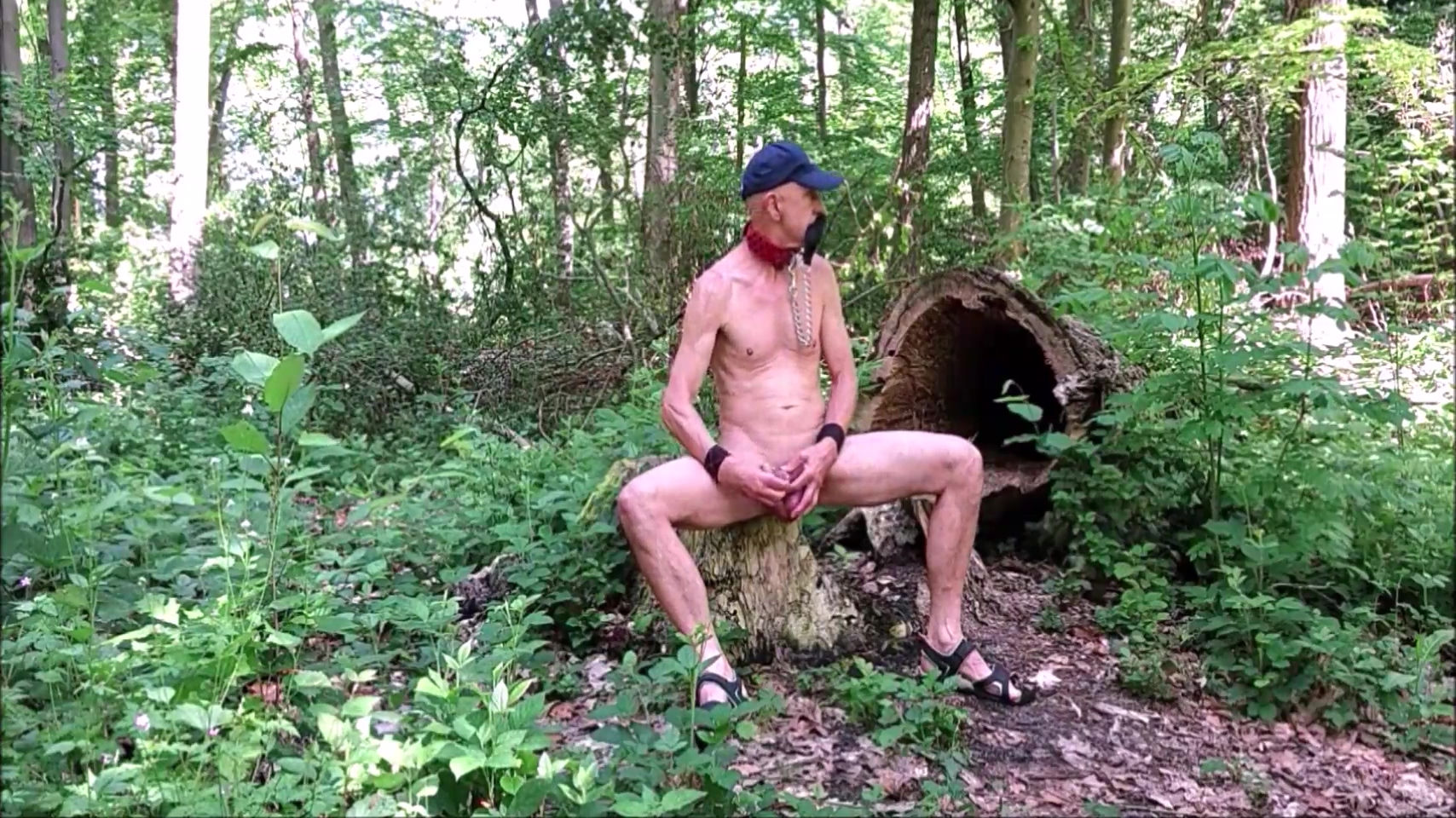 Slave Pig Exposed In Penis Cage, Outdoor Strip In Public Woods, Hiking, Masturbate Cumshot, Bdsm No Clothing 10 Min