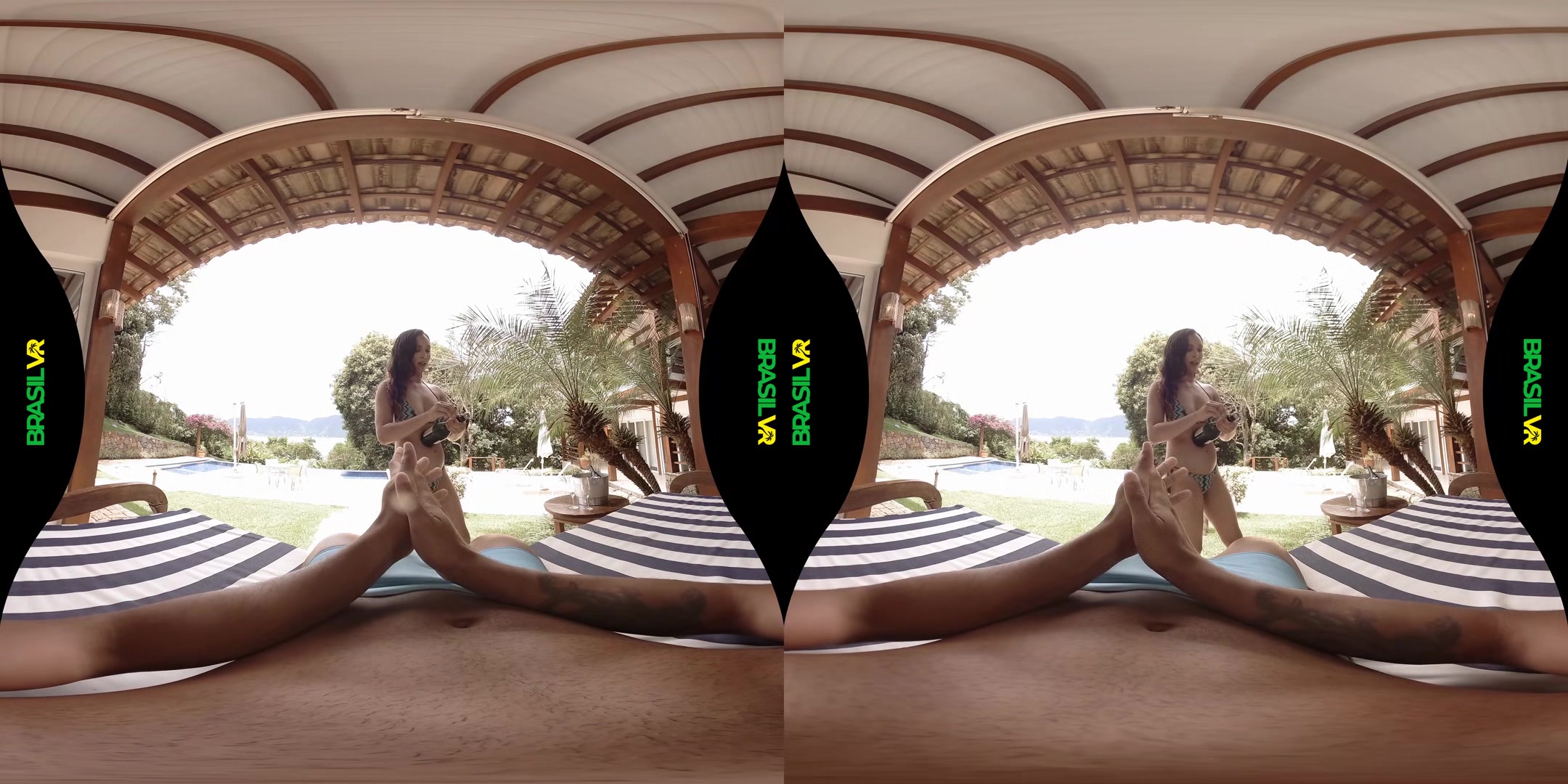 Take The Plunge - BrasilVR