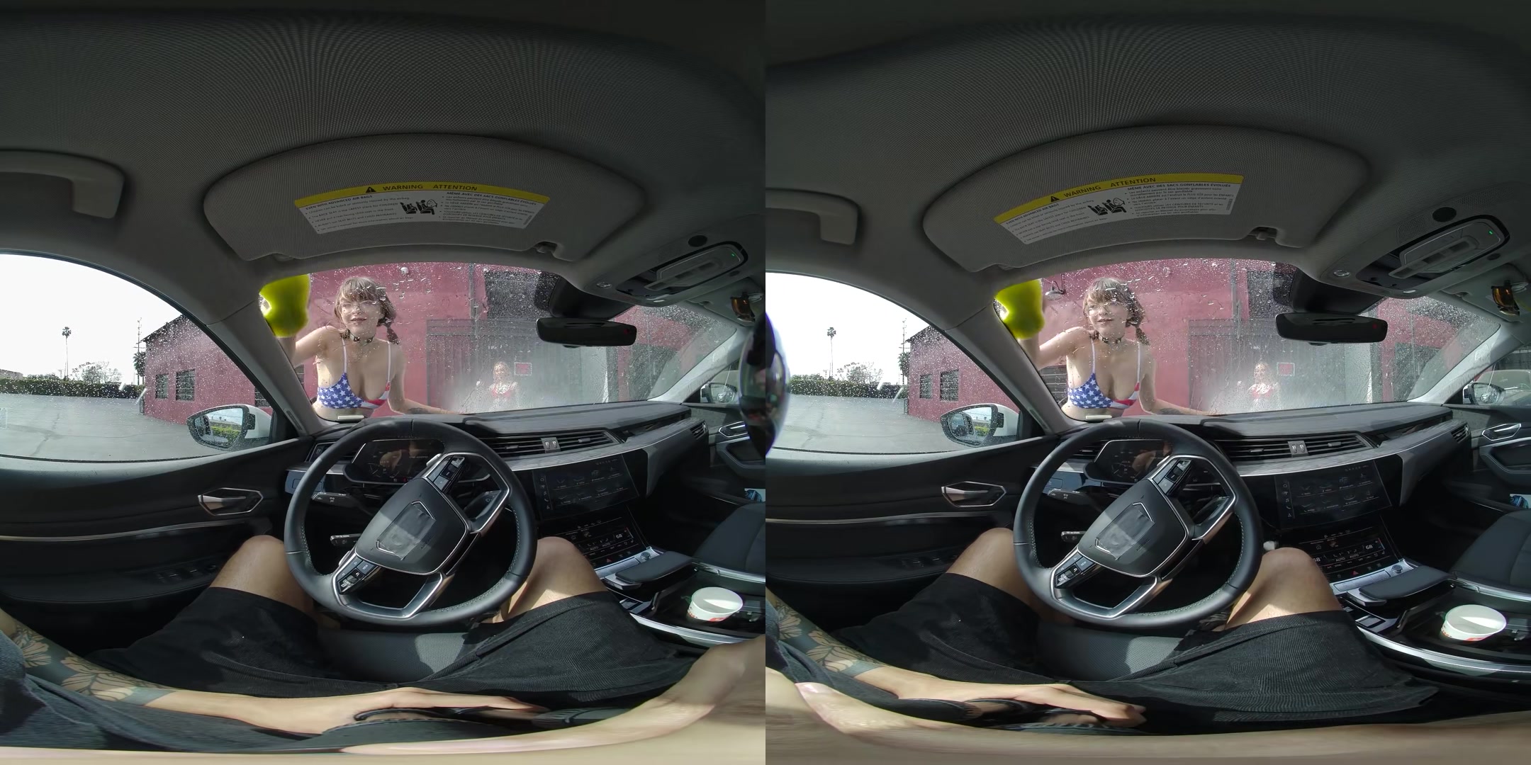 Bikini Car Wash - VRFanService