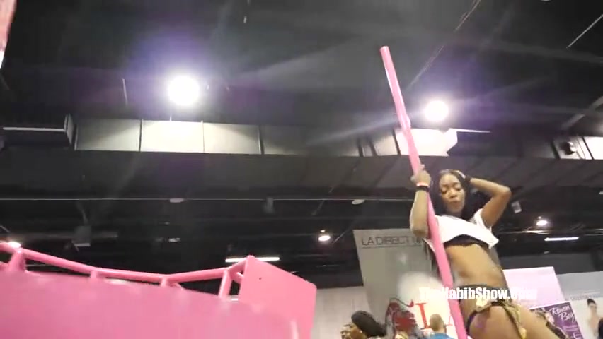 exxxotica 2018 chicago pornstars n freaks gone wild
