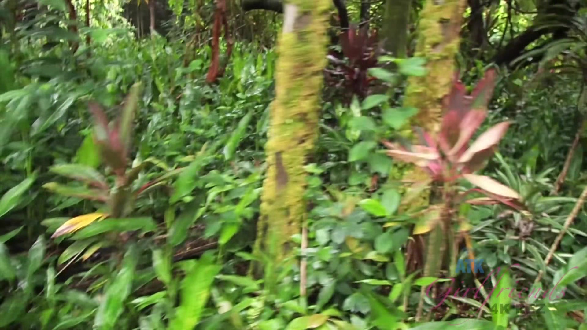 Virtual Vacation With Brittany Shae Part 9