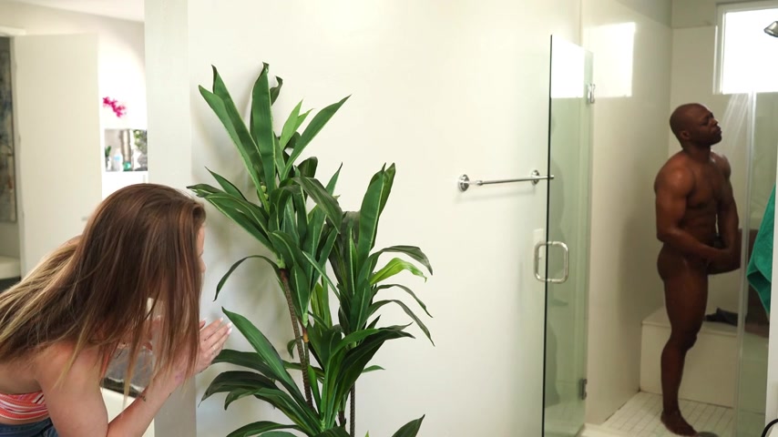 Roommate Issues - WillTileXXX