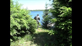 Orca predator on the prowl outside looking for the enemy