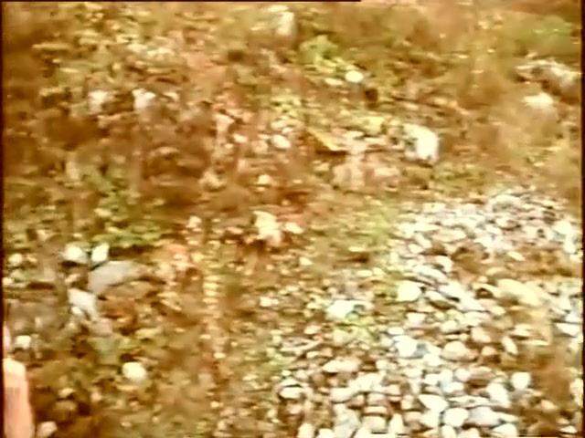 Mb - Sex Express vintage Enhanced Film Tube