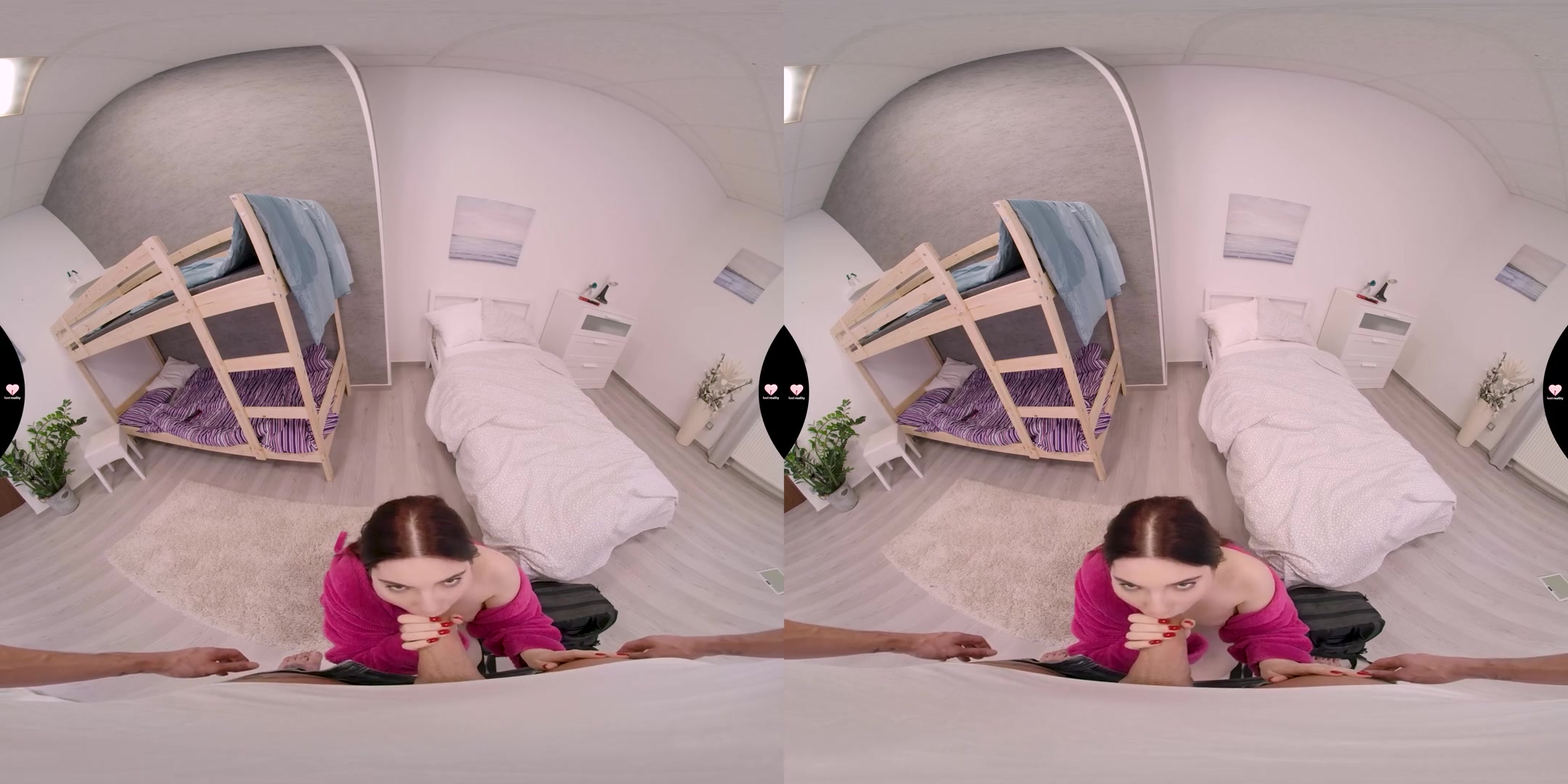 VR Hostel 3 - This Is My Room, Fucker