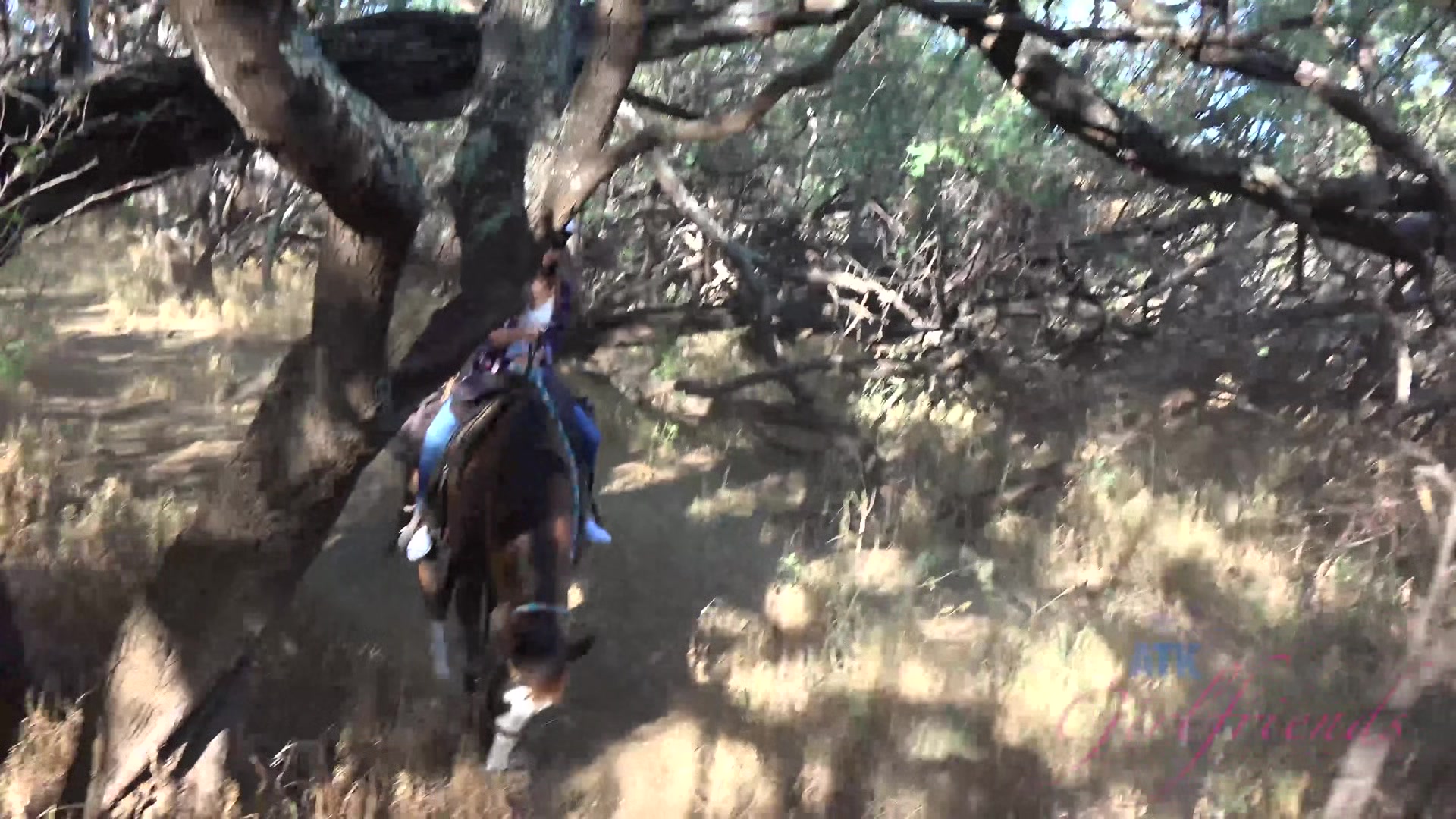 Virtual Vacation In Hawaii With Nina North Part 6
