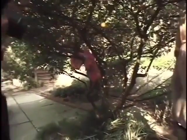 Astonishing Xxx Video Transvestite Outdoor Greatest Youve Seen
