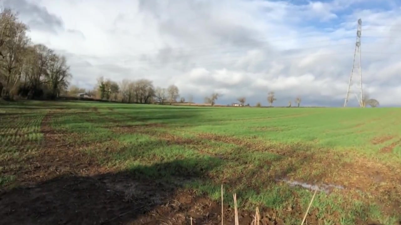And Jerking In A Muddy Field
