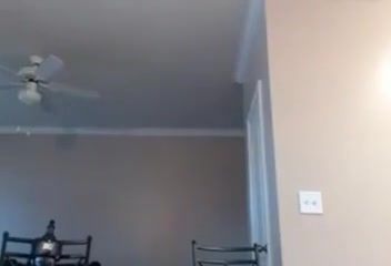Shemale ebony 23