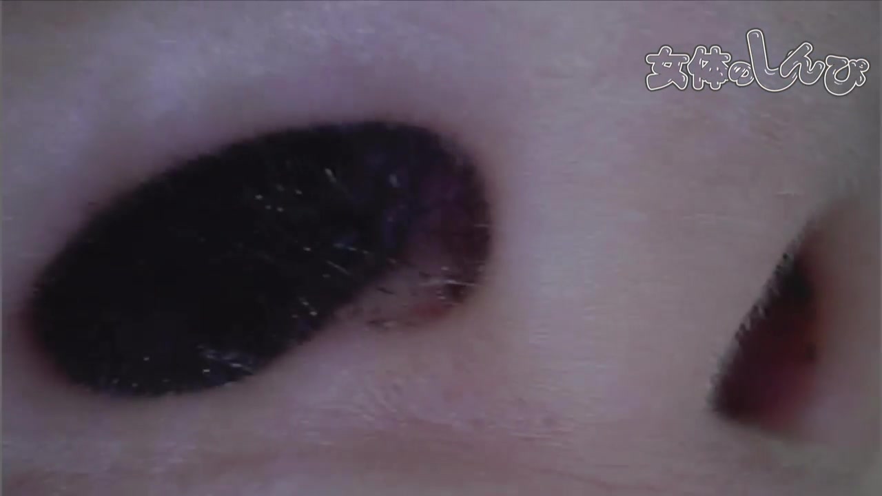 The pussy expedition - Fetish Japanese Video