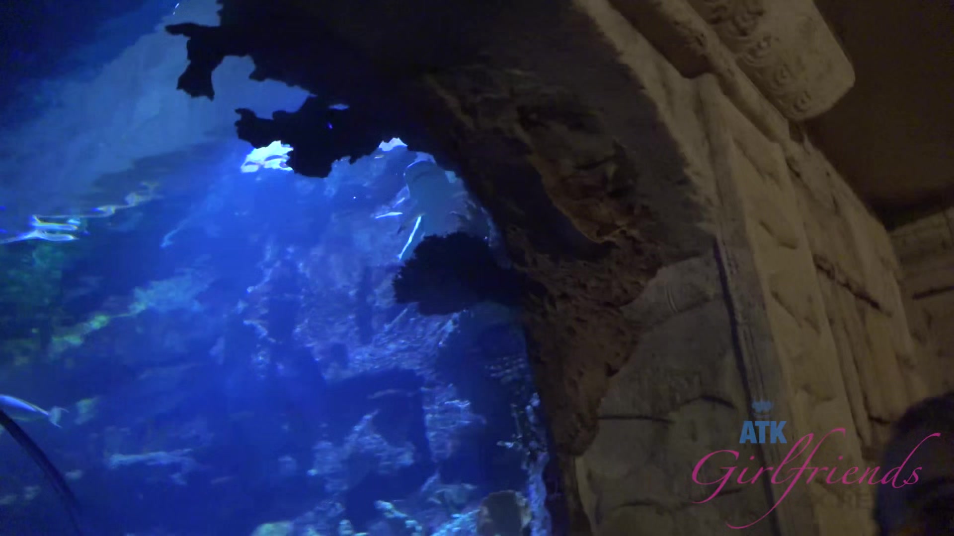 Virtual Vacation In Las Vegas With Trisha Parks Part 1