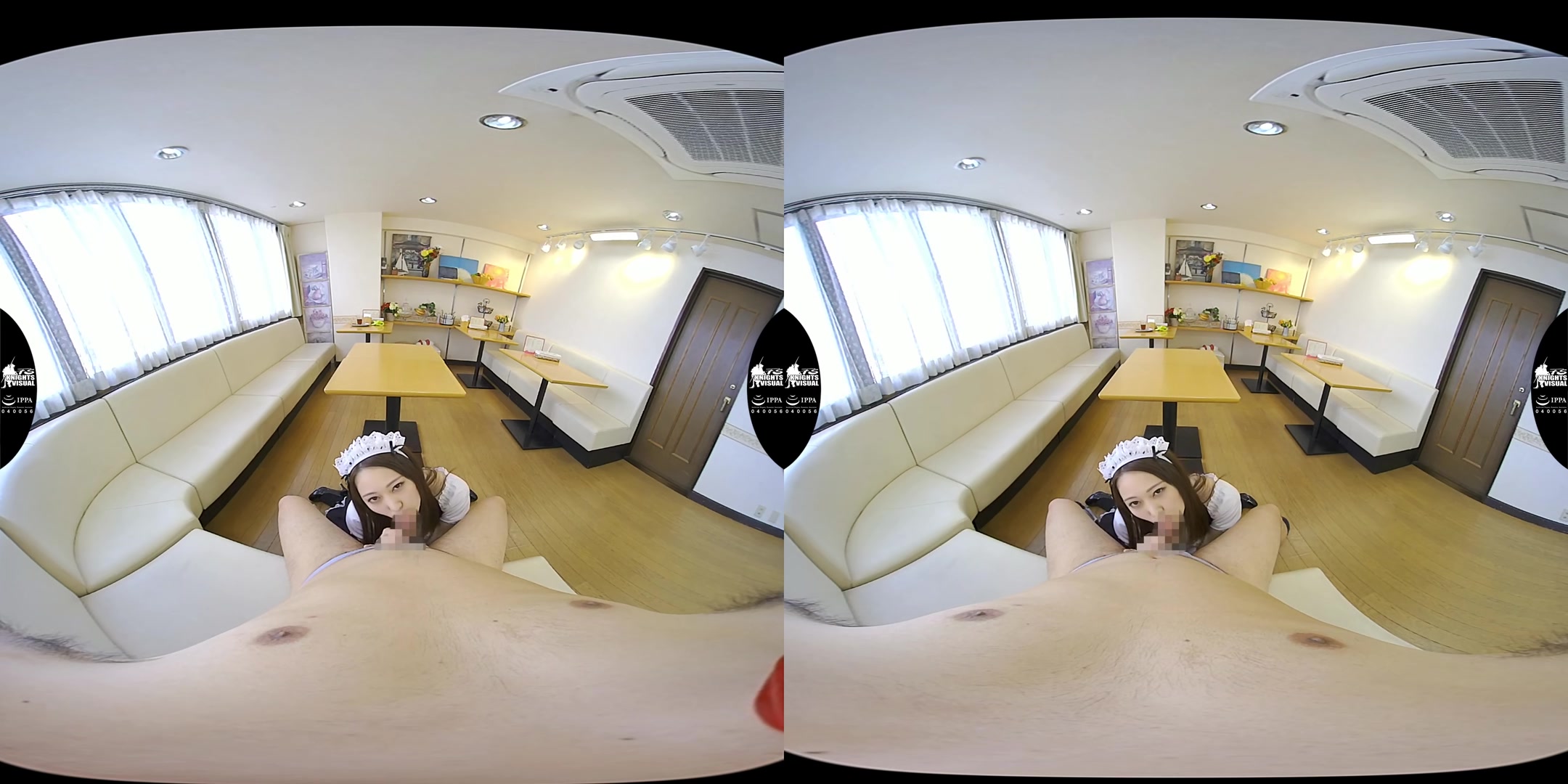 Aoi Mizutani - 3DVR Bondage Training Request - FS.KnightsVisual