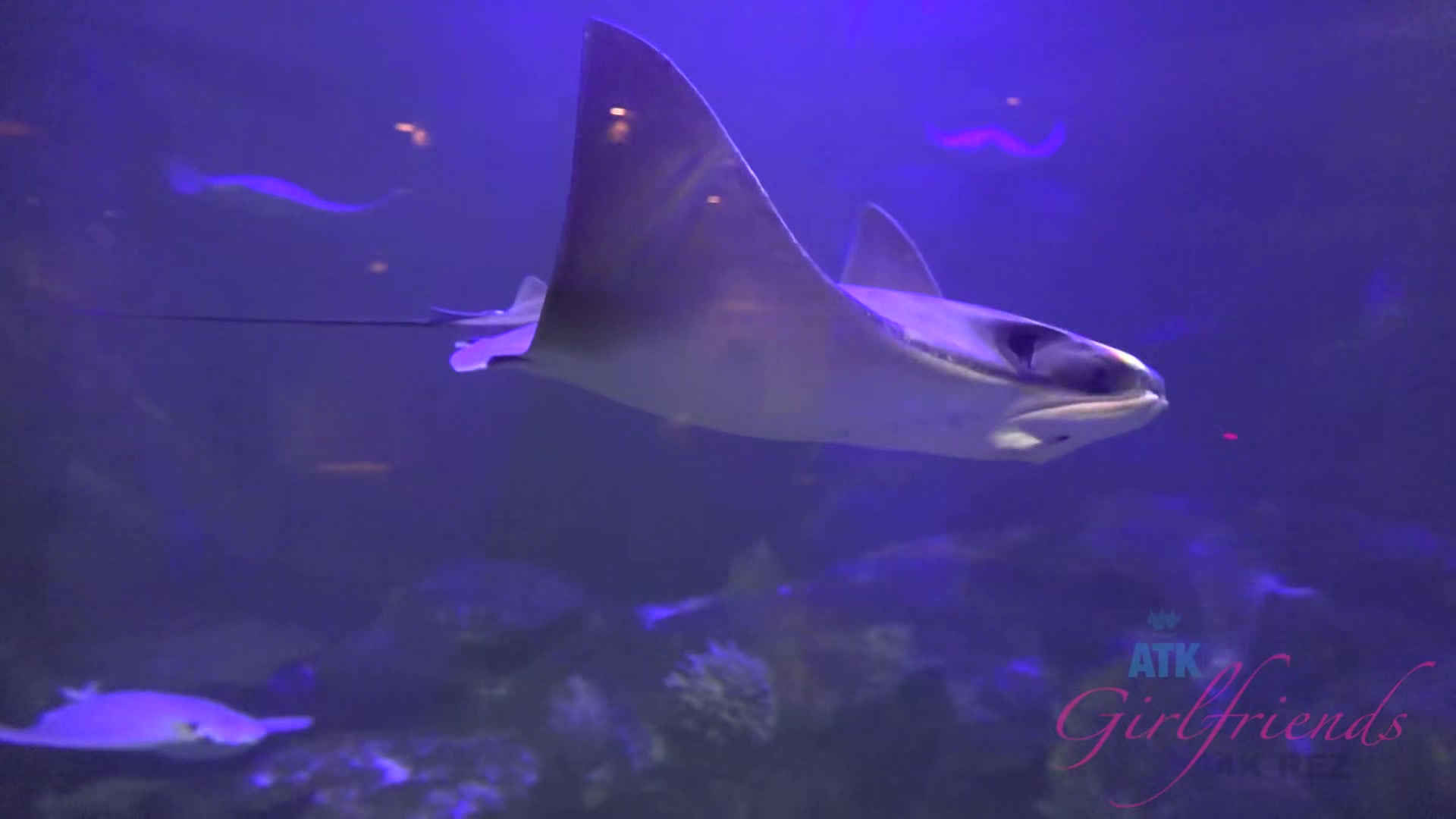 Virtual Vacation In Las Vegas With Jade Amber Part 1