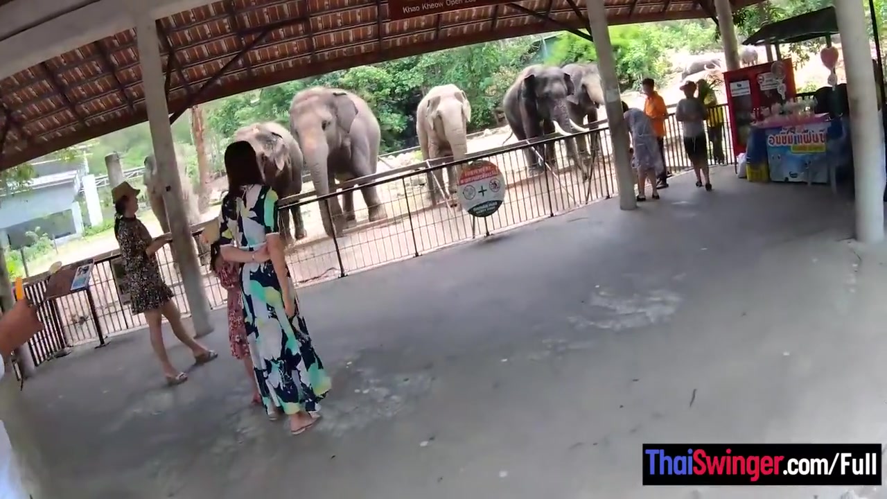 Amateur Thai Girlfriend Went To See And Has Sex Afterwards With Bf 7 Min