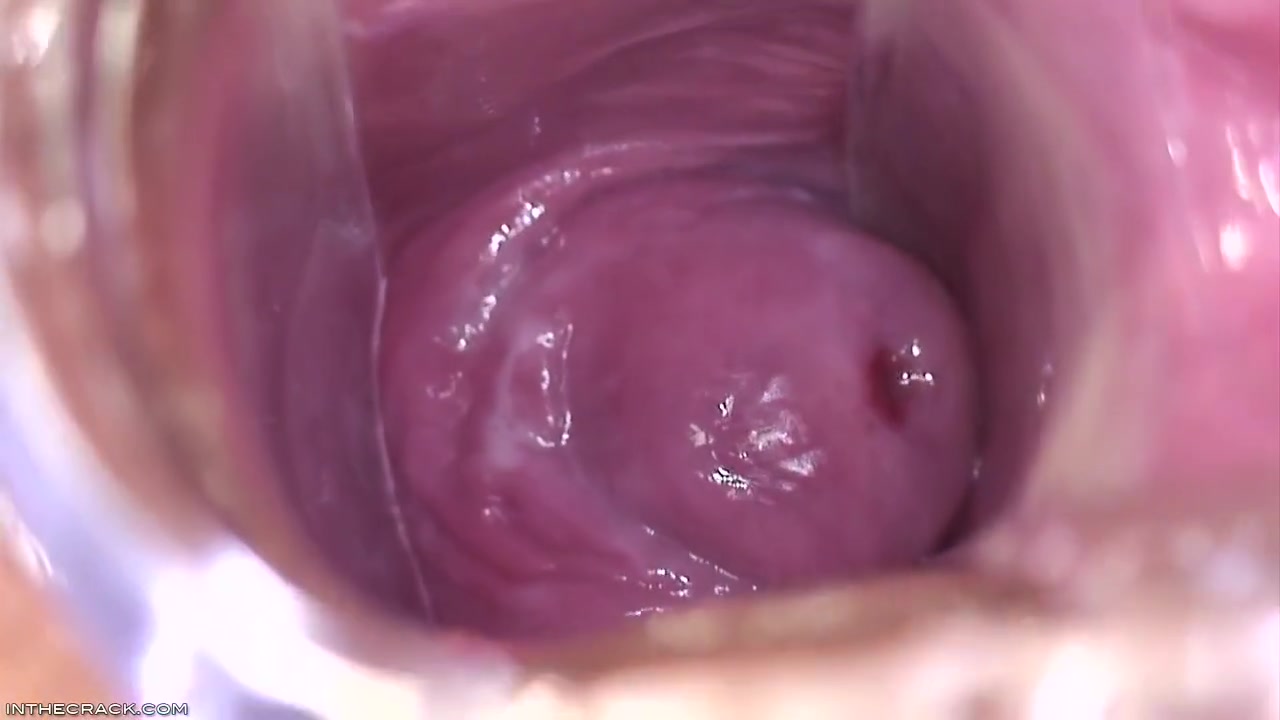 Inside Brandys Pussy