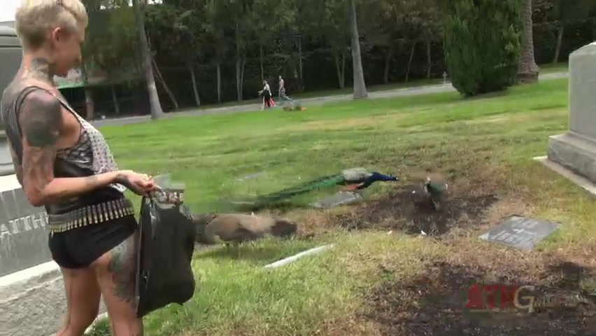 ATKGirlfriends video: Kate Wolf in "A Day in the Life of"