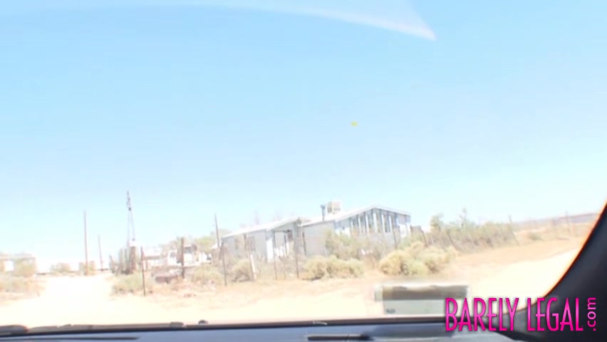 Hitchhiker Kara Novak stuffs young pussy with cock