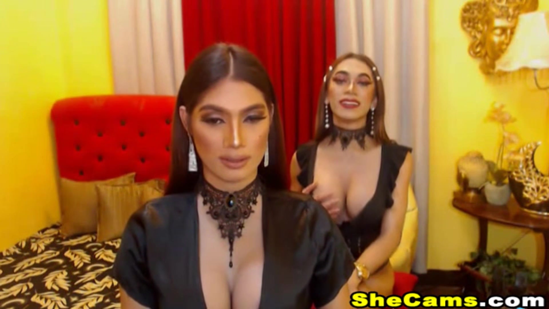 Shemale Couple Wild Hard Anal Fuck