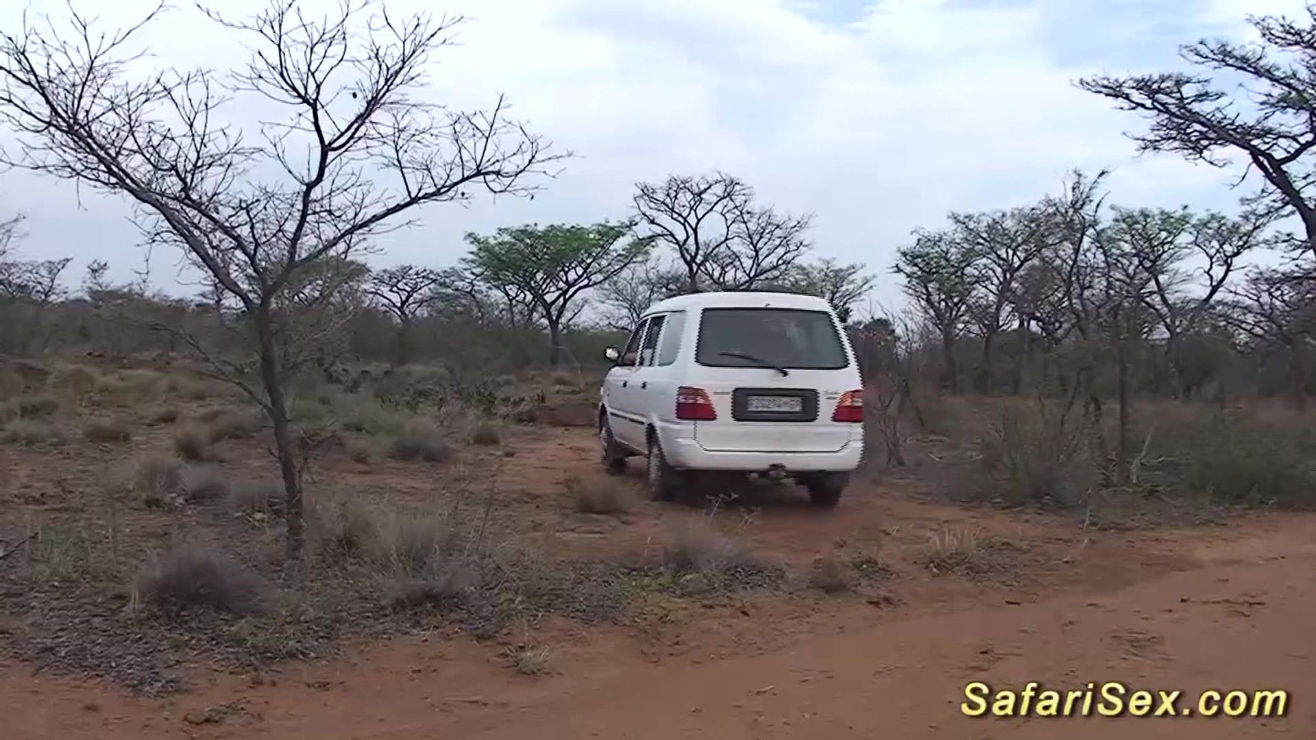 wild african safari sex orgy